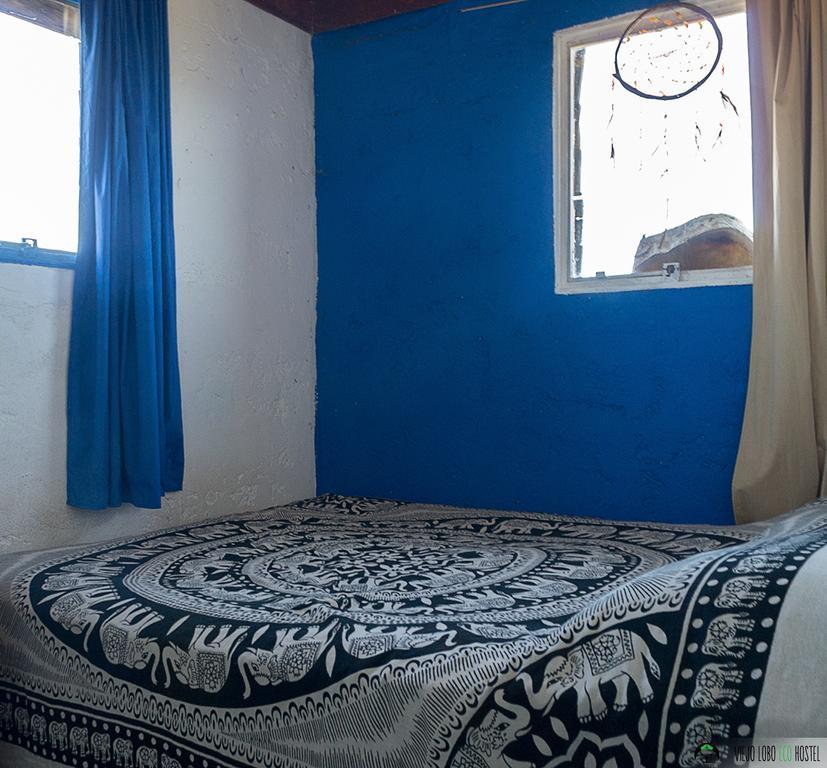 Viejo Lobo Hostel Cabo Polonio Room photo